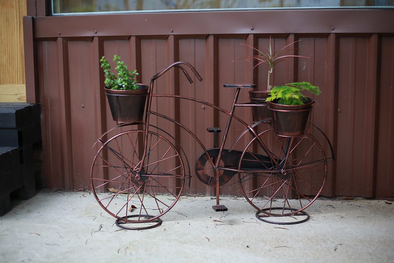 盆栽腳踏車